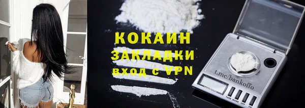 стафф Алексин