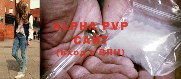 стафф Алексин